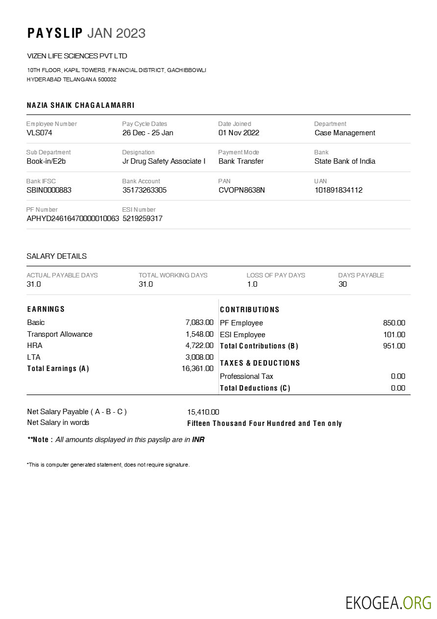 Modèle de fiche de paie de l'entreprise pharmaceutique Vizen Life Sciences aux formats Word et PDF.pdf, 1